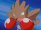 Wild Hitmonchan 