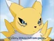 Renamon