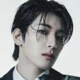 Wonwoo 