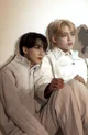 Jeonghan and cheol