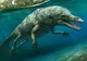 Rodhocetus