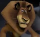 Alex the lion