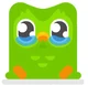 Sad Duolingo