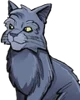 Graystripe