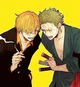 Zoro and Sanji