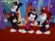 Animaniacs RP 2 