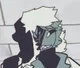 FPE countryhumans
