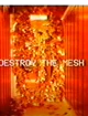 The Mesh