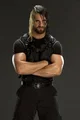 Shield Rollins