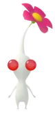 White Pikmin