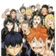 Karasuno team