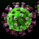 The Virus