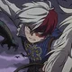 Shoto Todoroki 