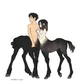 Centaur Herds