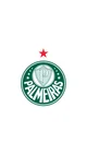 Grupo palmeiras 