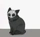 Ghost Cat