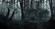 Slender Mansion