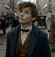 Newt Scamander