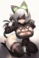 2B nier automata