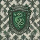 The Slytherin Gang