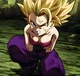 DBS Caulifla