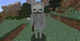 Minecraft Skeleton