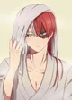 Shoto Todoroki 