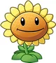 Pvz Sunflower 