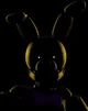 spring bonnie