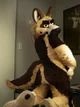 Duke fursuit