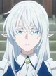 Schnee Raizar