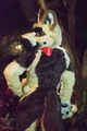 Duke fursuit