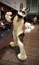 Duke Fursuit 