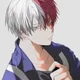 Todoroki Shoto