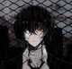 Dazai -chu pov-