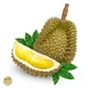 Durian
