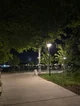 Park at night