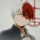 Shoto Todoroki
