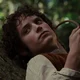 Frodo Bolson