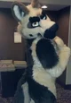 Duke Fursuit