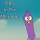 PBS In The Afternoon