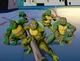 TMNT School AU 2
