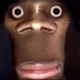 Demarkus