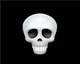 Skull emoji