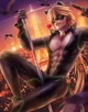 Cat Noir 