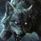 Alpha Wolf