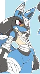 lucario herido