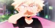Katsuki Bakugou 