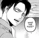 Levi Ackerman