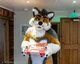 Cormack wolf Fursuit